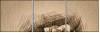 80258727