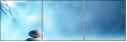 81478947