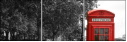 8421281