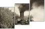 11284076