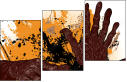 24093537