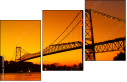293004009
