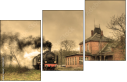 29517691