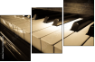 30665978