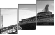 33444308