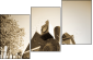 34463140
