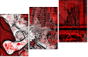 42837141