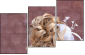 43471205