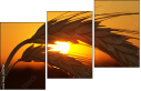 4517963