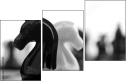 49013321