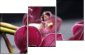 49633319