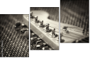 51861338