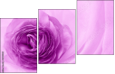 52109021