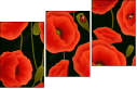 64821989