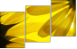 6606588