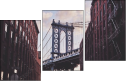 68887204