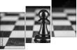 70258713