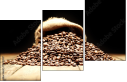 75743507
