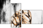 110688808