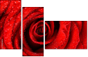 112923652