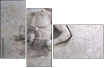 129360439
