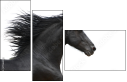 17865105