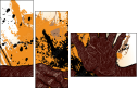 24093537