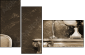 25666505