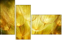 30556275