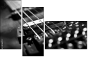 47683741