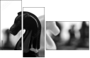 49013321