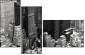 49412199
