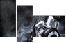 55593987