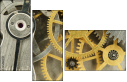 56949725