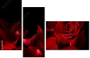60186592