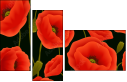 64821989