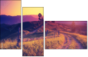 67236047