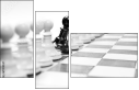 67908547