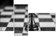 70258713