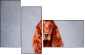 71939351