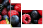 7610026