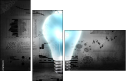 76194221