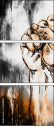110688808