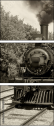 11284076