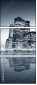 11924591
