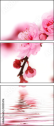 12025476