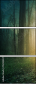 152144229
