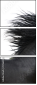 17865105