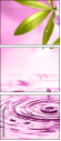 20055851