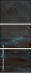 206812569